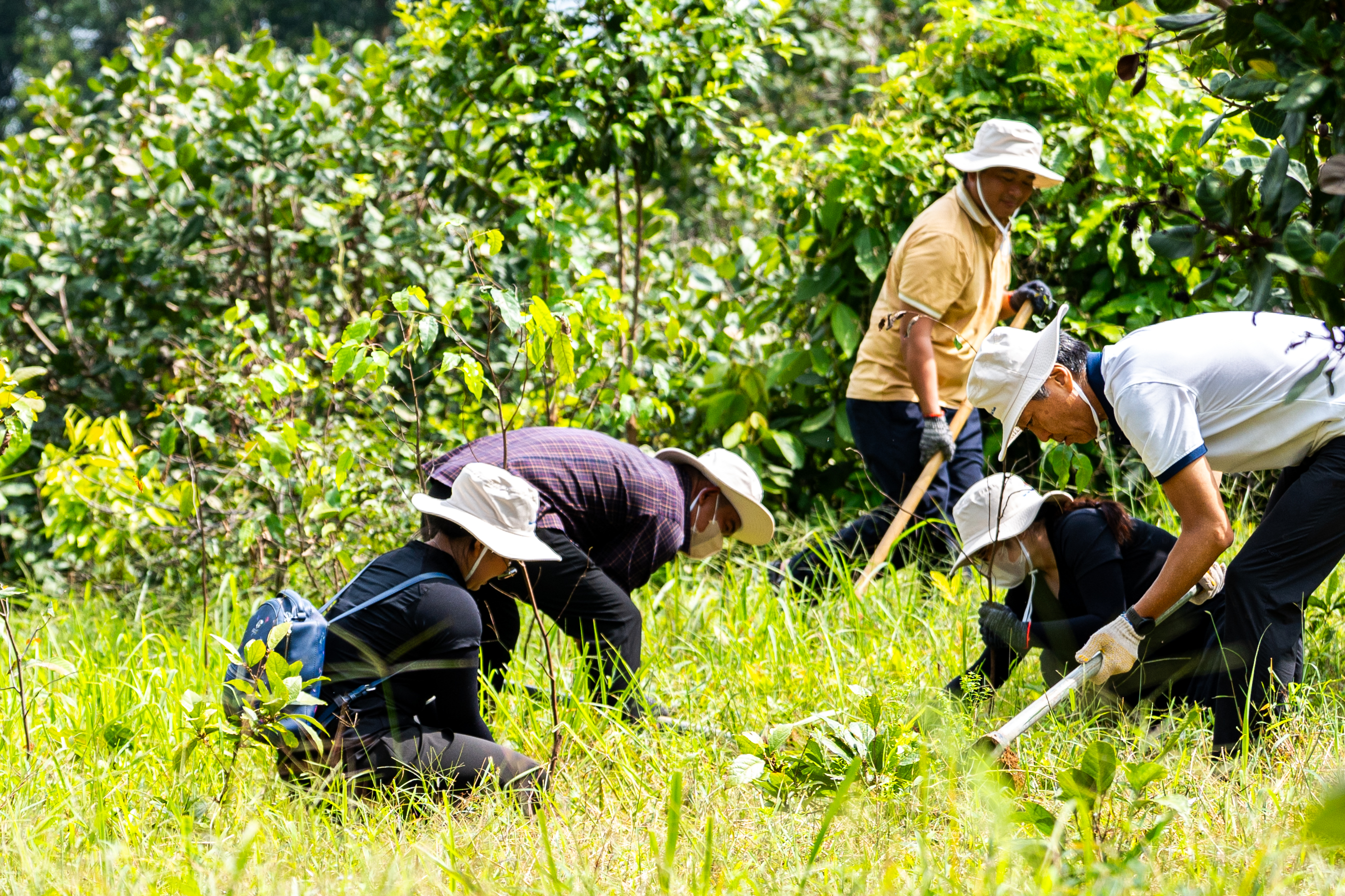 CSVC – JOURNEY TO THE GREEN FUTURE