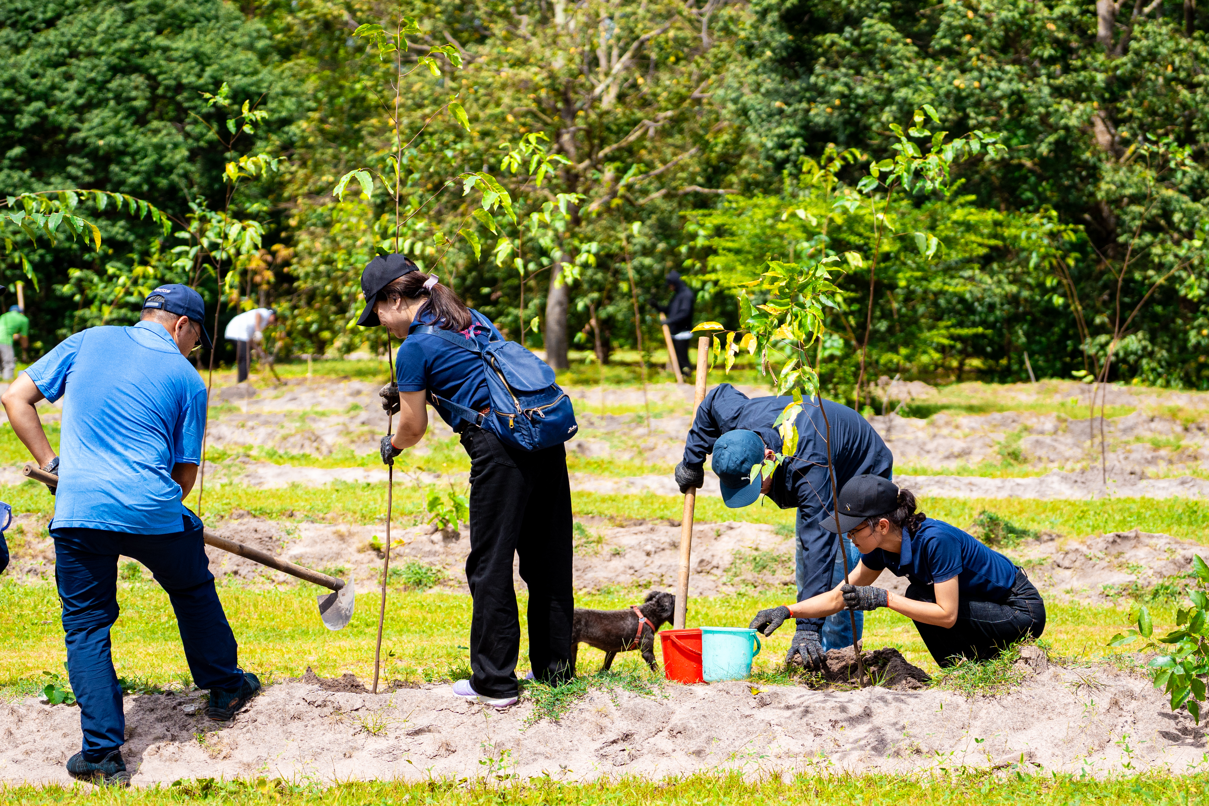 “CSVC – Journey to the Green Future” 2025